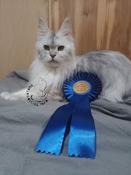 Photo n°17 de Surlacolline.info à Frugières-le-Pin (Ferme)