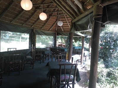 Photos of Yellowwood Indigenous Nursery
