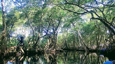 Photos of Laguna Gri Gri