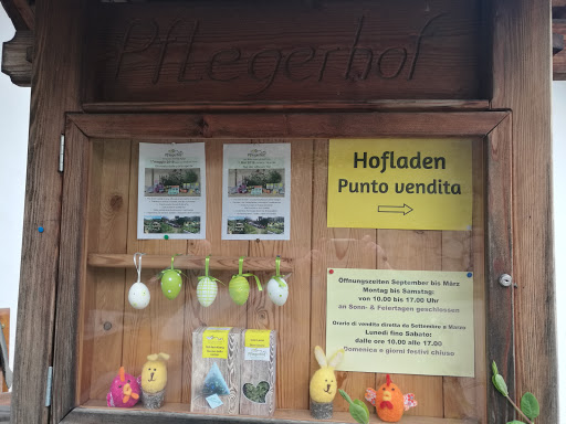 Pflegerhof