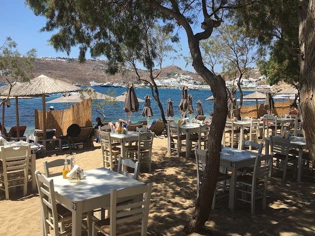 Nicola's Taverna Mykonos, Greece | Fresh Fish