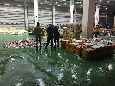 Photos of 국동항