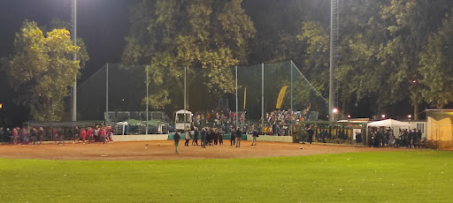 Impianto Softball Forlì - Visual