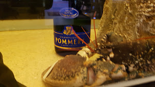 Photo n°99 de Le Paris Plage à Le Touquet-Paris-Plage (Restaurant français)