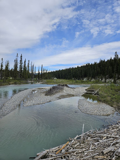 Dog Lake - Visual
