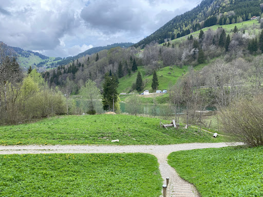 Lac de vallon Gallery - France