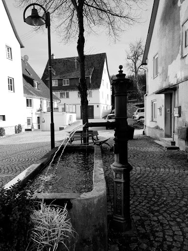 Stadtkirche Sulz - Thumbnail
