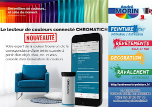 Photo n°1 de Morin André à Mauléon (Magasin de peinture)