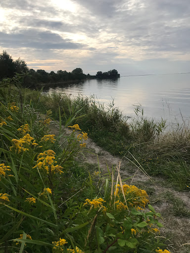 Strand Bruinisse - Thumbnail
