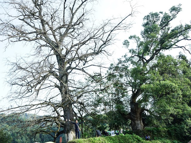 Xian de Wuyuan