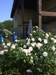 Photo n°2 de Chambre d'hôtes LA FIGUALIERE à La Murette (Chambre d'hôtes)