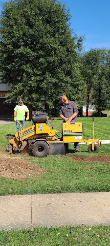 Reasonable stump removal
