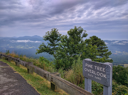 Pine Tree Overlook - Visual