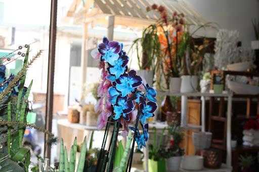 L'Antico Giardino Srl - 336775555 - Thumbnail