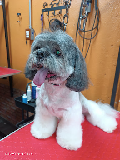 Veterinaria y Estetica Canina "Dobby"