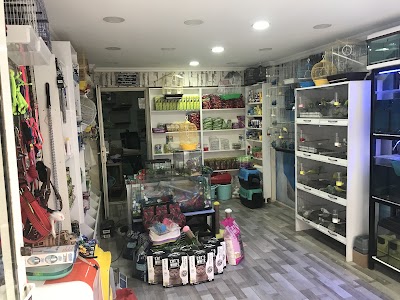 Batu Pet Shop, Kırıkkale Pet Shop