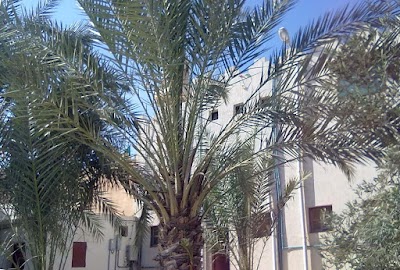 Photos of Sheikh Salim bin Mohammed Faitouri Mosque