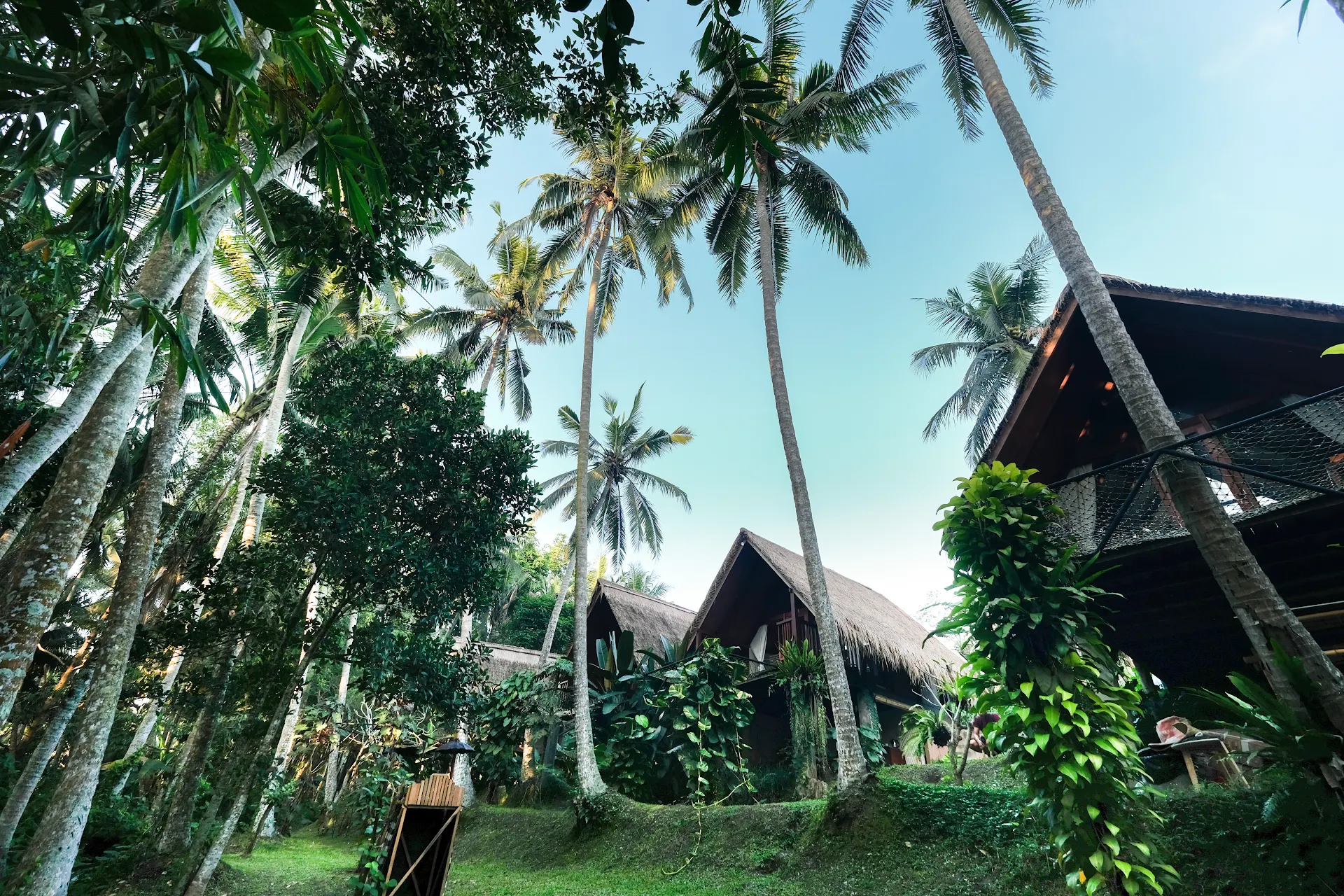 Ubud Jungle Stay