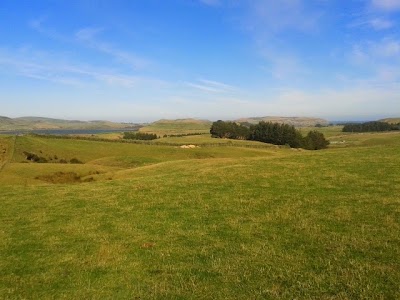 Photos of Catlins Forest Park