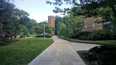 university