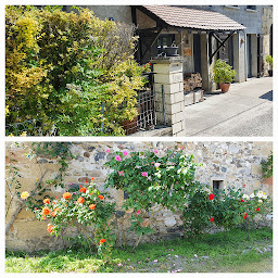 Photo n°2 de Docteur Francine DE PACHTERE - MNS2 à Marcellaz-Albanais (Nutritionniste)