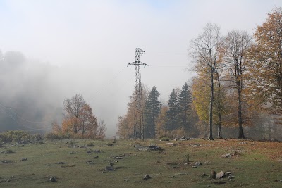 Molla yakup çayırı