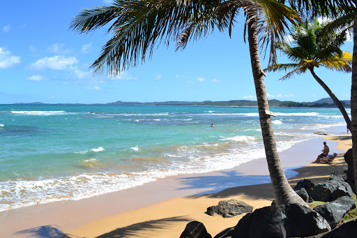 Gustavo Haedo Insurance