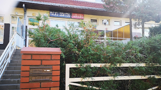 Pralnia wodna chemiczna magiel pranie pierza i puchu poprawki krawieckie pranie dywanów renowacja odzieży skórzanej