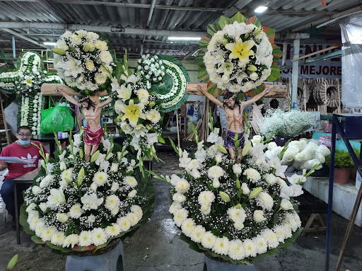 FUNERARIA FLOR DEL SINAÍ