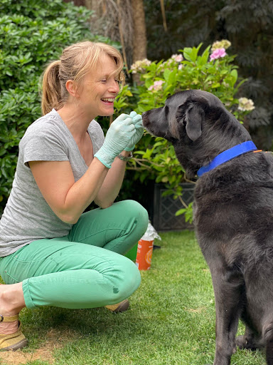 PetTherapy Veterinary Acupuncture & Integrated Pain Management - Thumbnail