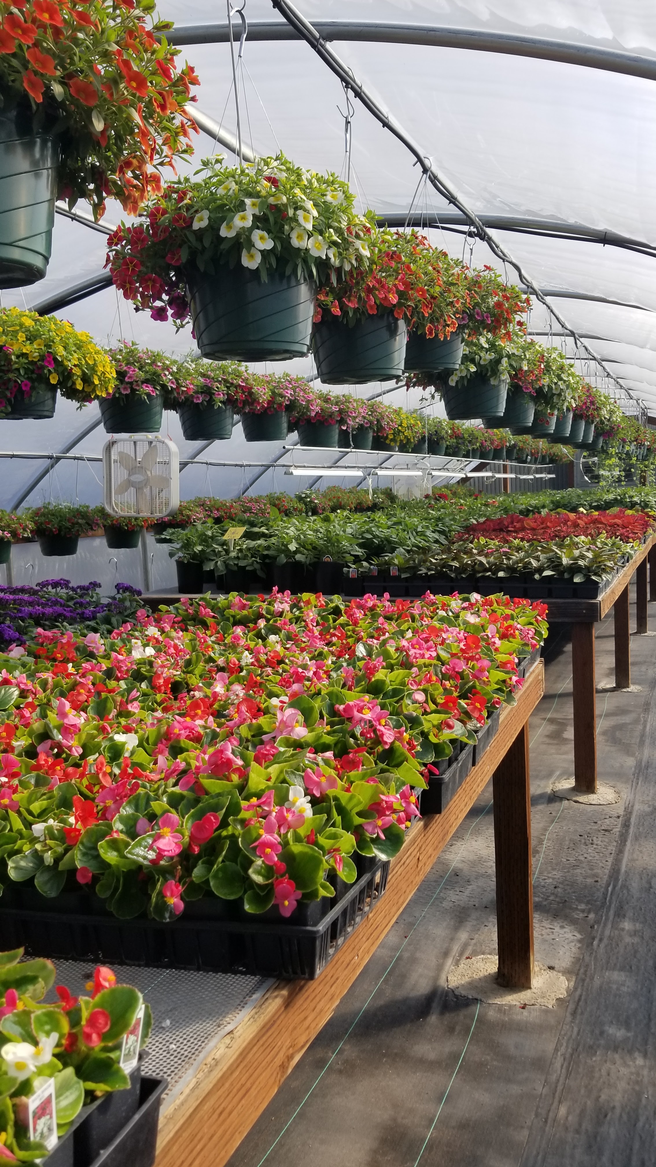 Four Ds Farms