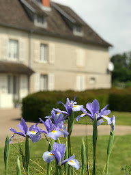Photo n°4 de Château de Corrigé à Chamboret (Chambre d'hôtes)