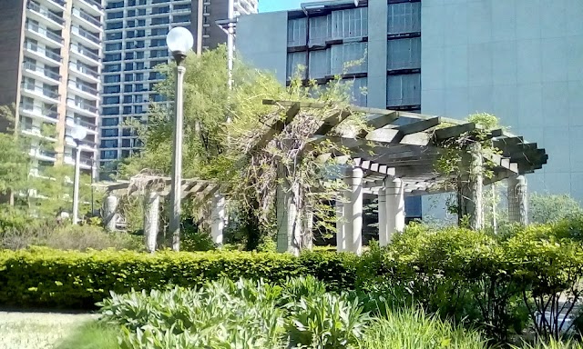 Lane Beach