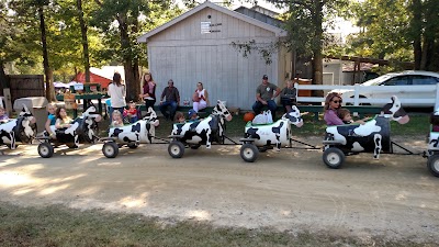 Photos of Kersey Valley Maize Adventure