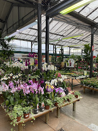 Photo n°32 de GAMM VERT à Eu (Magasin d'articles pour animaux)