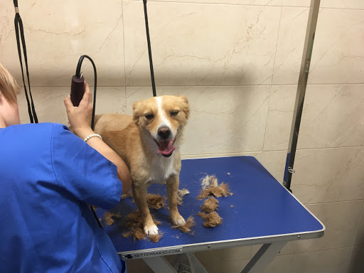 Clinica Centro Veterinario Jose Luis y Agropecuaria Jose Luis
