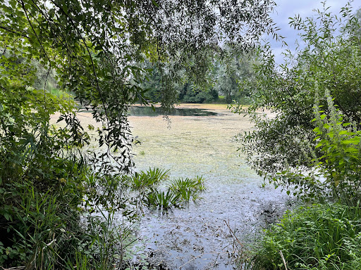 Weiher Großkarolinenfeld Gallery - Germany
