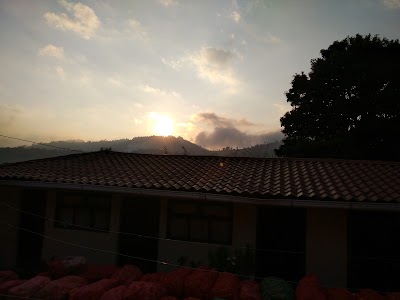 Photos of MADERA EN ALQUILER