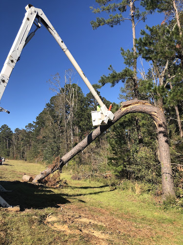 B & E Services, LLC