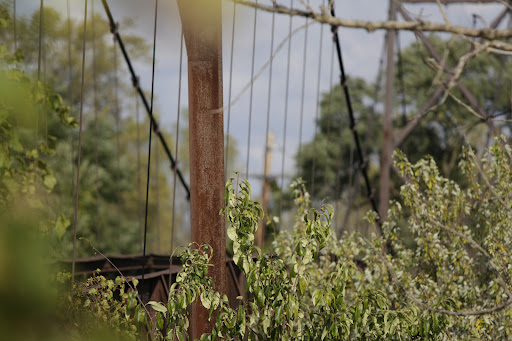 Sidaway Bridge - Visual