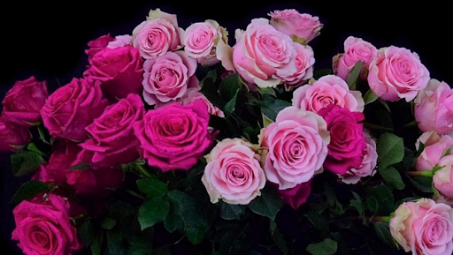 Flowerlovers - Thumbnail