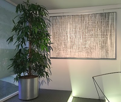 Photos of carbon Gallery