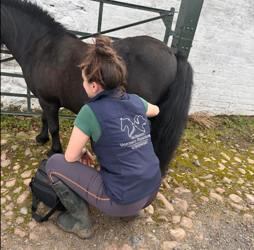 McMasters Veterinary Physiotherapy