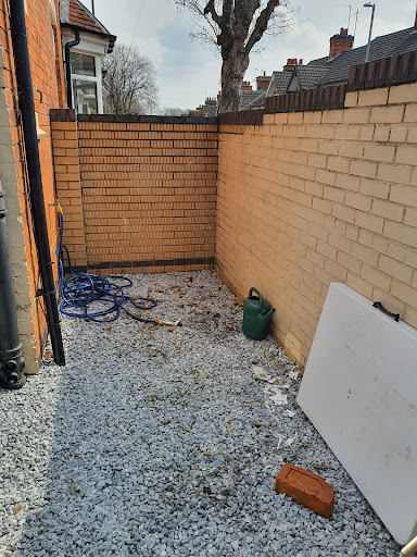 Massimo Removal - Visual