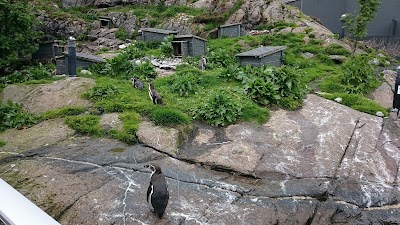 Photos of The Atlantic Sea Park