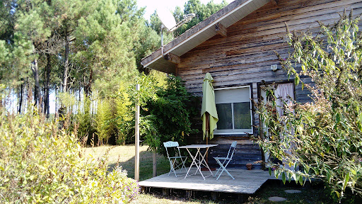 Photo de l'Espèce d'Espace à Lit-et-Mixe (40170)