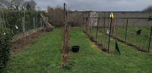 Photo n°6 de Home Atout Fer à Montbazon (Jardinier)