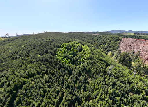 Smiley Face Hill - Visual