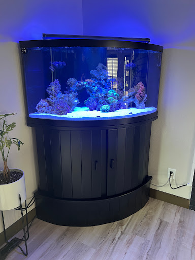 Aqua Biz Inc Gallery - United States