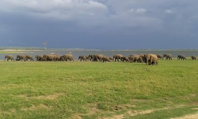 Photos of visitlankaholidays